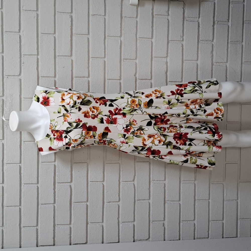 Enfocus Studio Vibrant Floral Sleeveless Pleated Dress. Size 4